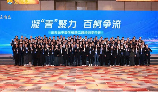 凝“青”聚力，百舸争流 | 8868干部学校2024年第二届培训学习班圆满结束